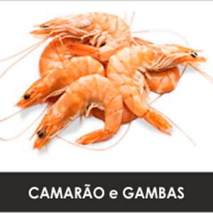 CAMARÃO E GAMBAS