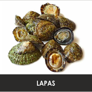 LAPAS